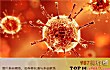 世界十大病毒TOP1-黄热病毒