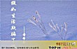 世界最美的十大诗歌TOP1-《假如生活欺骗了你》