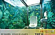 世界十大奇怪厕所TOP1-水族馆卫生间