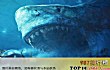 世界十大凶猛古生物TOP1-巨齿鲨