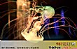世界十大最美水母TOP1-黑星海刺水母