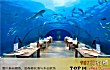 世界十大最美餐厅TOP1-伊特哈海底餐厅