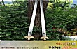 世界十大诡异妖刀TOP1-干将莫邪