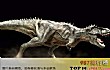 世界十大食肉恐龙TOP1-霸王龙