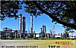 中国十大企业排名TOP1-中国石油化工集团有限公司