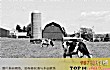 越南十大企业排名TOP1-越南奶业股份公司