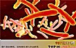 十大最可怕细菌排行榜TOP1-结核分枝杆菌
