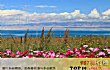 青海最好玩的十大景点TOP1-青海湖