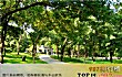 杭州十大公园排行榜TOP1-钱江世纪公园
