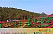 南京十大游乐场排名TOP1-南京银杏湖乐园.子弹列车
