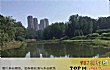 焦作十大公园广场排行榜TOP1-焦作市沁泉湖公园