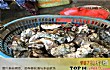阳江十大购物胜地排名TOP1-水源程村生蚝批发