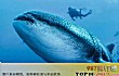 BBC十大必看纪录片排行榜TOP1-海洋星球