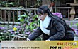 B站十大知名美食博主排行榜TOP1-李子柒