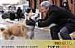 十大温暖治愈系电影排行榜TOP1-忠犬八公的故事