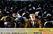 豆瓣十大评分最高华语电影排行榜（2020年）TOP1-阳光普照
