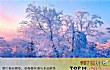 中国十大最美雾凇观赏地TOP1-雾凇岛