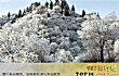 兰州十大最好玩的景点TOP1-吐鲁沟国家森林公园