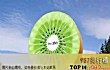 全球十大奇葩美食博物馆TOP1-猕猴桃360博物馆(kiwi 360)——新西兰蒂普基
