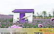 亳州十大公园排行榜TOP1-华佗百草园