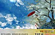 TME十大热门新歌排行榜(2021年)TOP1-《踏山河》