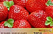 中国十大草莓品牌TOP1-京藏香