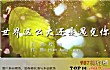 微视十大歌曲TOP1-世界这么大还是遇见