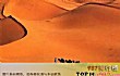 世界十大沙漠面积TOP1-撒哈拉沙漠