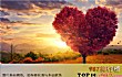 广东十大名曲TOP1-步步高
