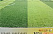 十大名牌人造草坪厂家TOP1-江苏共创人造草坪股份有限公司
