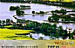广东十大乡村TOP1-莲麻村