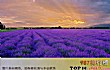 中国十大最让人迷醉的花海TOP1-新疆伊犁薰衣草花海