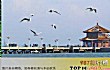 夏日出游国内浪漫海滨城市之最LOGO