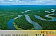 热带雨林探险需躲避的十大风险TOP1-方向