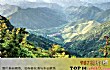 浙江十大名山排行榜TOP1-天目山