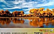 10月份国内最佳旅游地LOGO