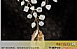 十大奢侈品项链TOP1-l` incomparable diamond necklace
