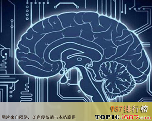 十大世界上公认最难的学科之神经科学