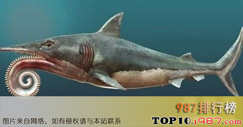 十大已灭绝的巨怪之旋齿鲨，长着螺旋形牙齿的鱼