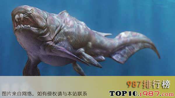十大已灭绝的巨怪之邓氏鱼，咬合力媲美霸王龙