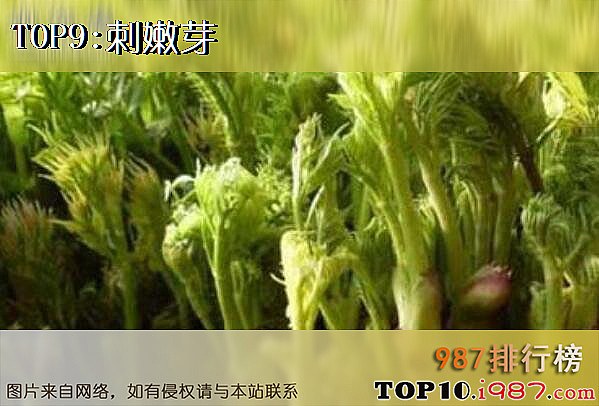 十大可抑癌野菜之刺嫩芽