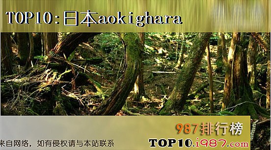 十大世界神秘地方之日本aokighara