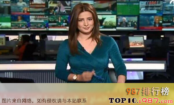 十大世界最受关注新闻频道之al arabiya