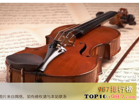 十大小提琴品牌之艺飞