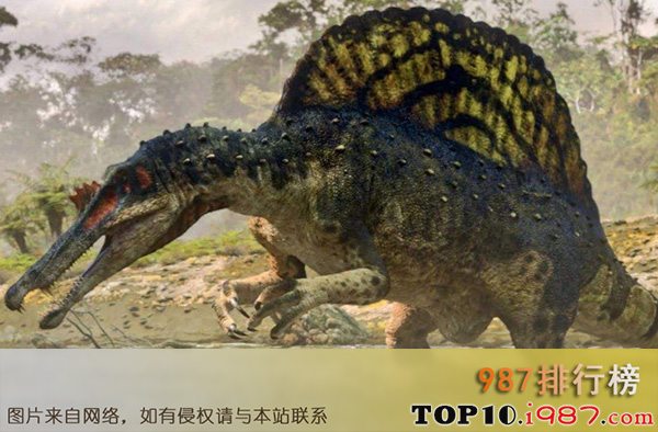十大世界食肉恐龙之棘龙