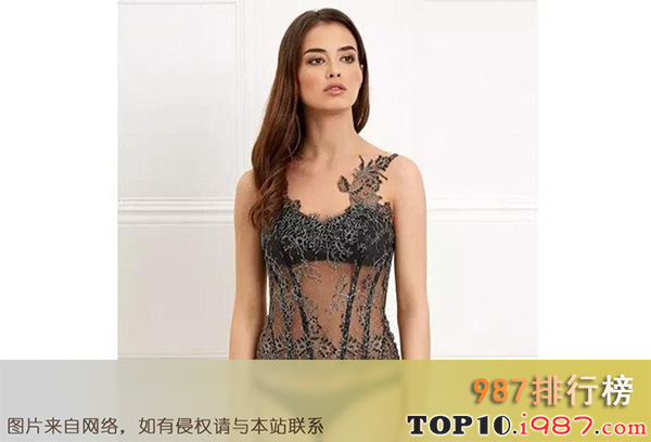 十大世界最贵的内衣之tinted rose lace corset