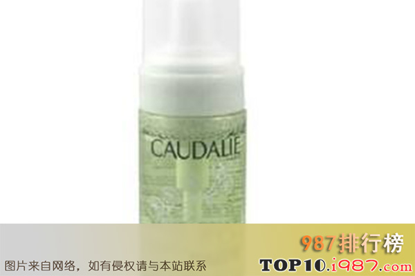 十大含有氨基酸的洗面奶之欧缇丽caudalie大葡萄洁面摩斯