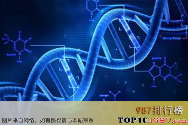 十大浙大收入最高专业之生物医学工程