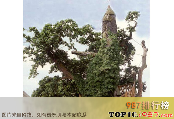 十大世界奇树之与教堂合体的树