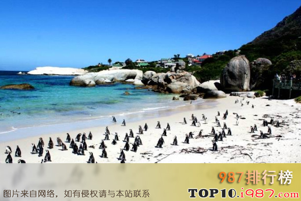 十大世界最神秘的岛屿之企鹅岛
